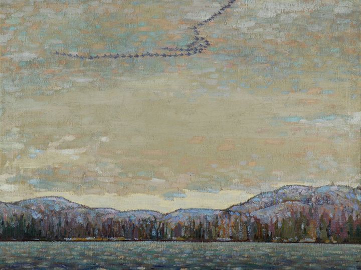 Tom Thomson, Chill November, 1916 Tom Thomson, Chill November, 1916, oil on Canvas. From the collection of the Judith and Norman Art Gallery, a gift of the Sarnia Women’s Conservation Art Association.