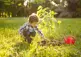 Child planting a tree in a grassy field.