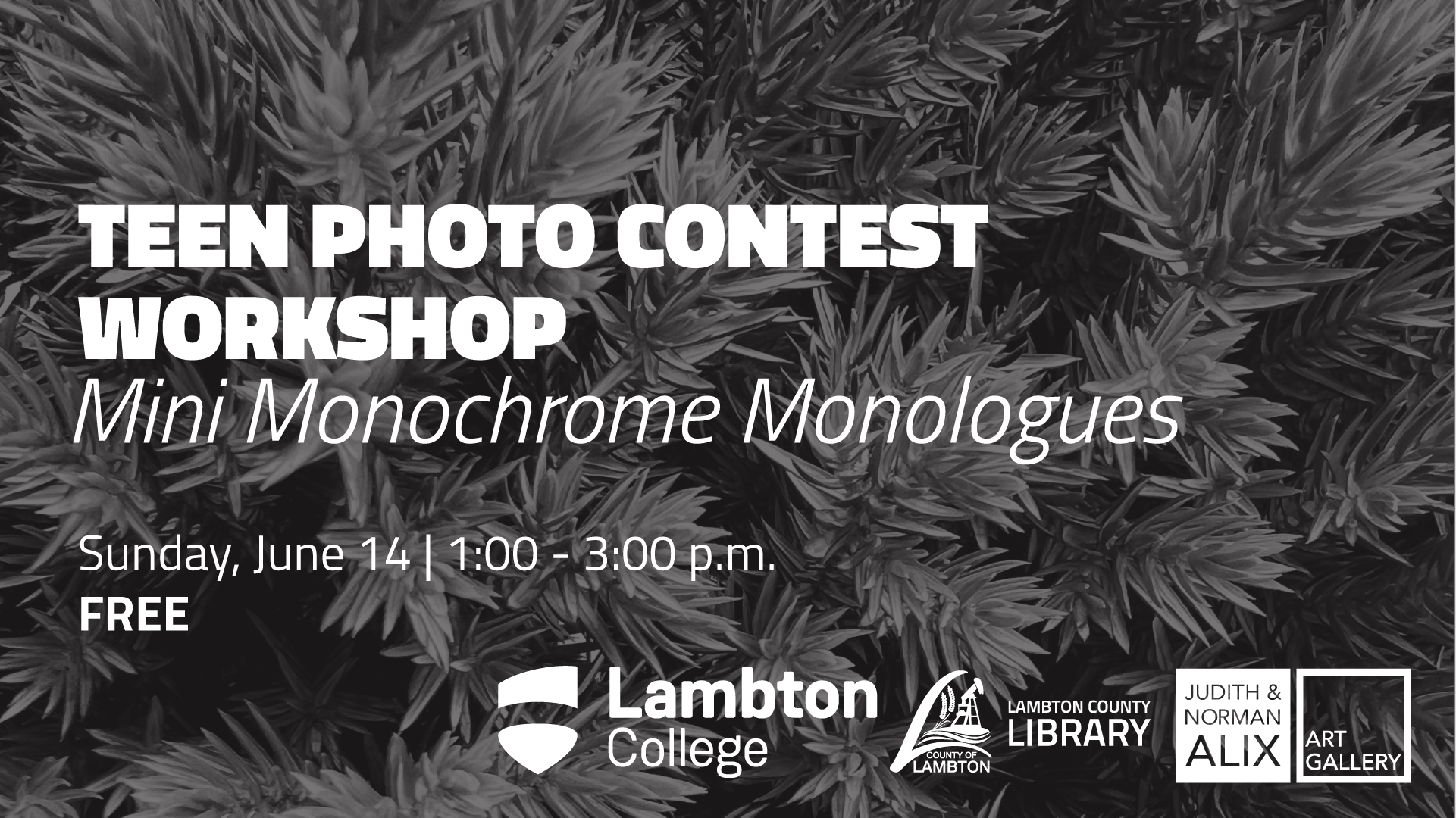 Promotional Image for teen photo contest workshops